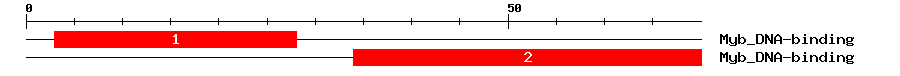 Signature Domain