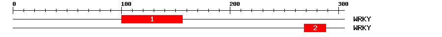 Signature Domain