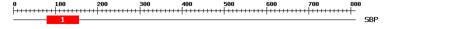 Signature Domain