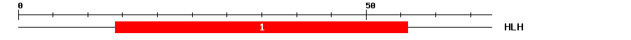 Signature Domain