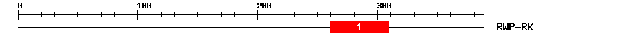 Signature Domain