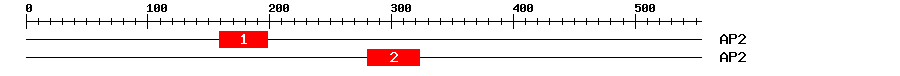 Signature Domain