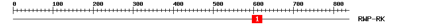 Signature Domain