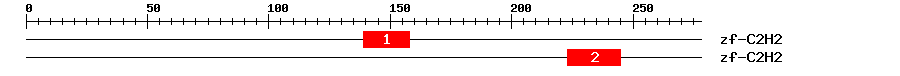 Signature Domain