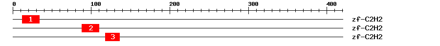 Signature Domain