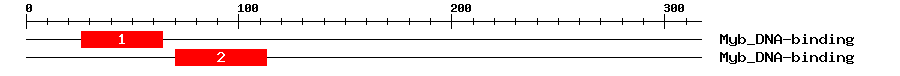 Signature Domain