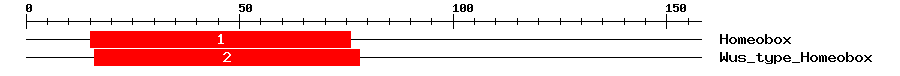 Signature Domain