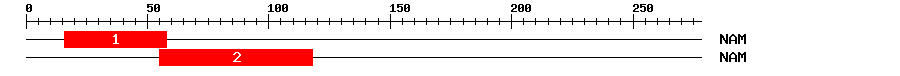 Signature Domain