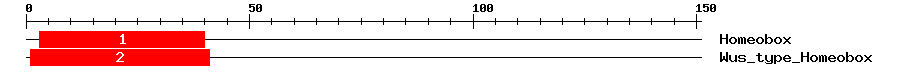 Signature Domain
