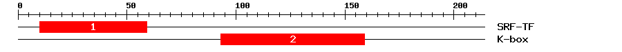 Signature Domain