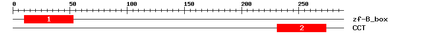 Signature Domain