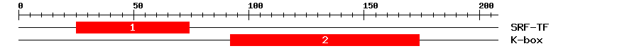 Signature Domain