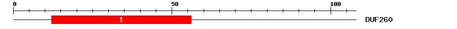 Signature Domain