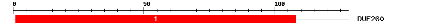 Signature Domain