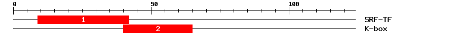 Signature Domain