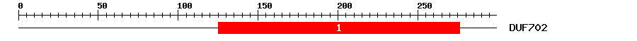 Signature Domain