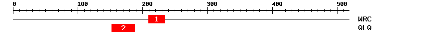 Signature Domain