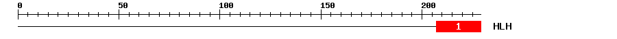 Signature Domain