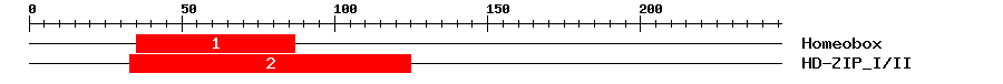 Signature Domain