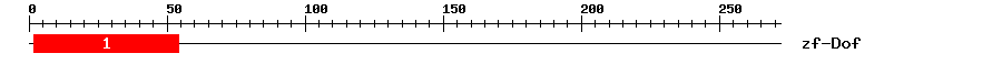 Signature Domain