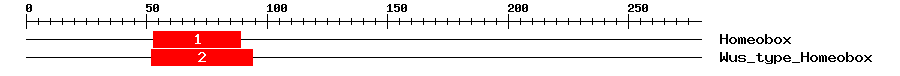 Signature Domain