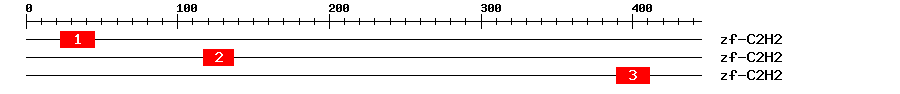 Signature Domain