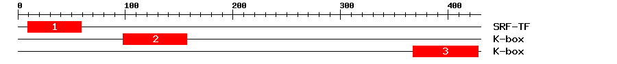 Signature Domain