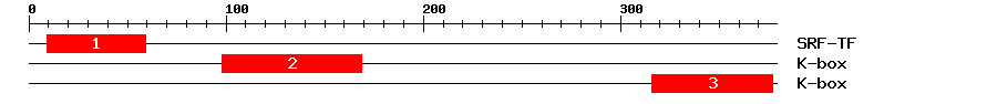 Signature Domain