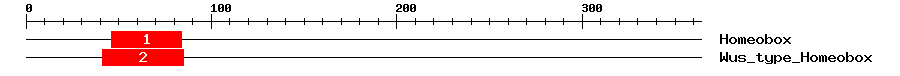 Signature Domain