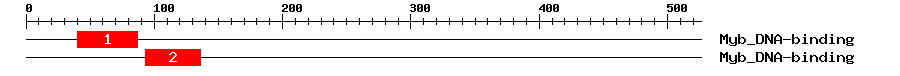 Signature Domain