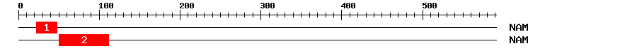 Signature Domain