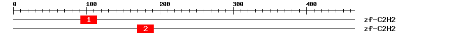 Signature Domain