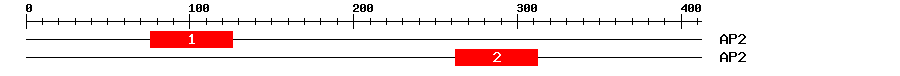 Signature Domain