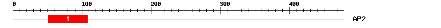 Signature Domain