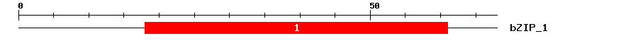 Signature Domain