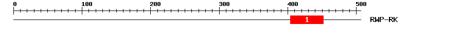 Signature Domain
