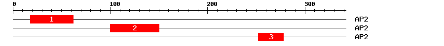 Signature Domain