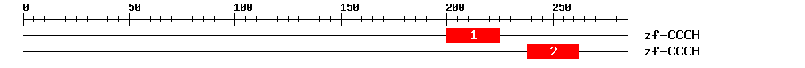 Signature Domain