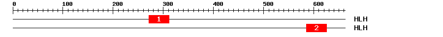 Signature Domain