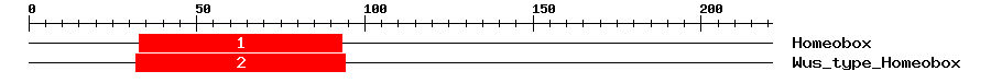 Signature Domain