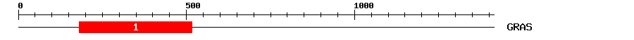 Signature Domain