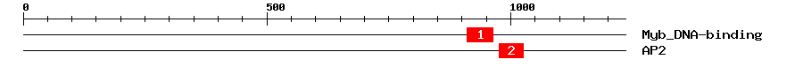Signature Domain