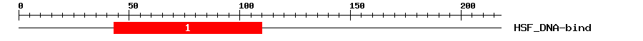 Signature Domain