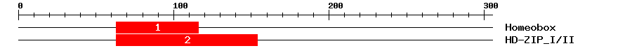 Signature Domain