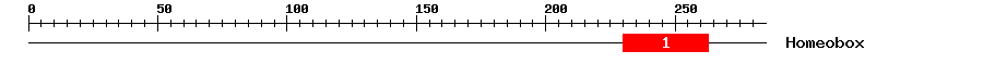 Signature Domain