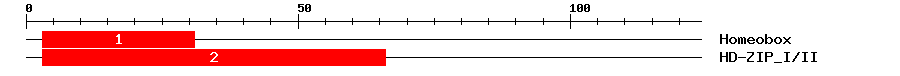 Signature Domain