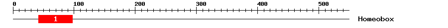 Signature Domain