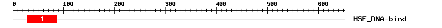 Signature Domain