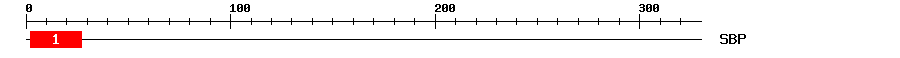 Signature Domain