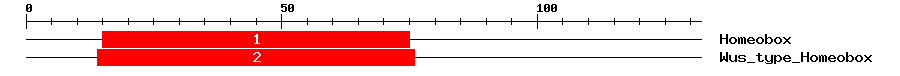 Signature Domain